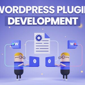 Custom Plugin Ecosystem Development