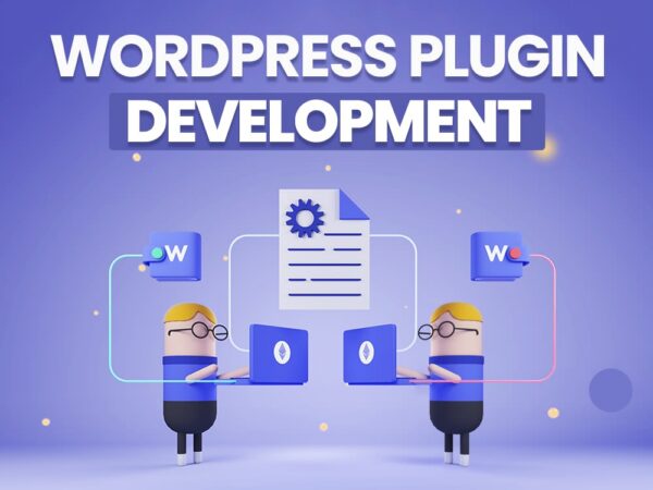 Custom Plugin Ecosystem Development